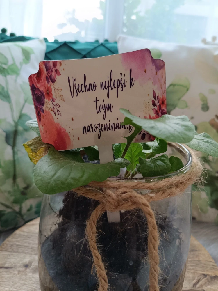 Zápich do kytky, dortu